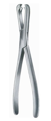 Fergusson Bone Holding Fcp